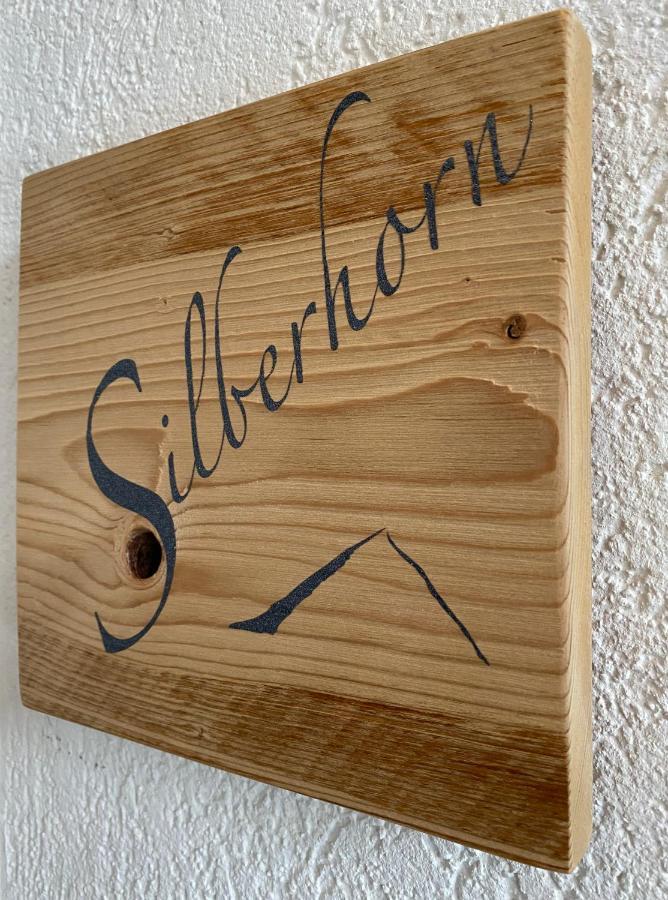 Apartmán Silberhorn Grindelwald Exteriér fotografie
